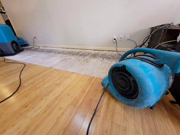 Professional Water Damage Repair technician working in Streetsboro, OH
